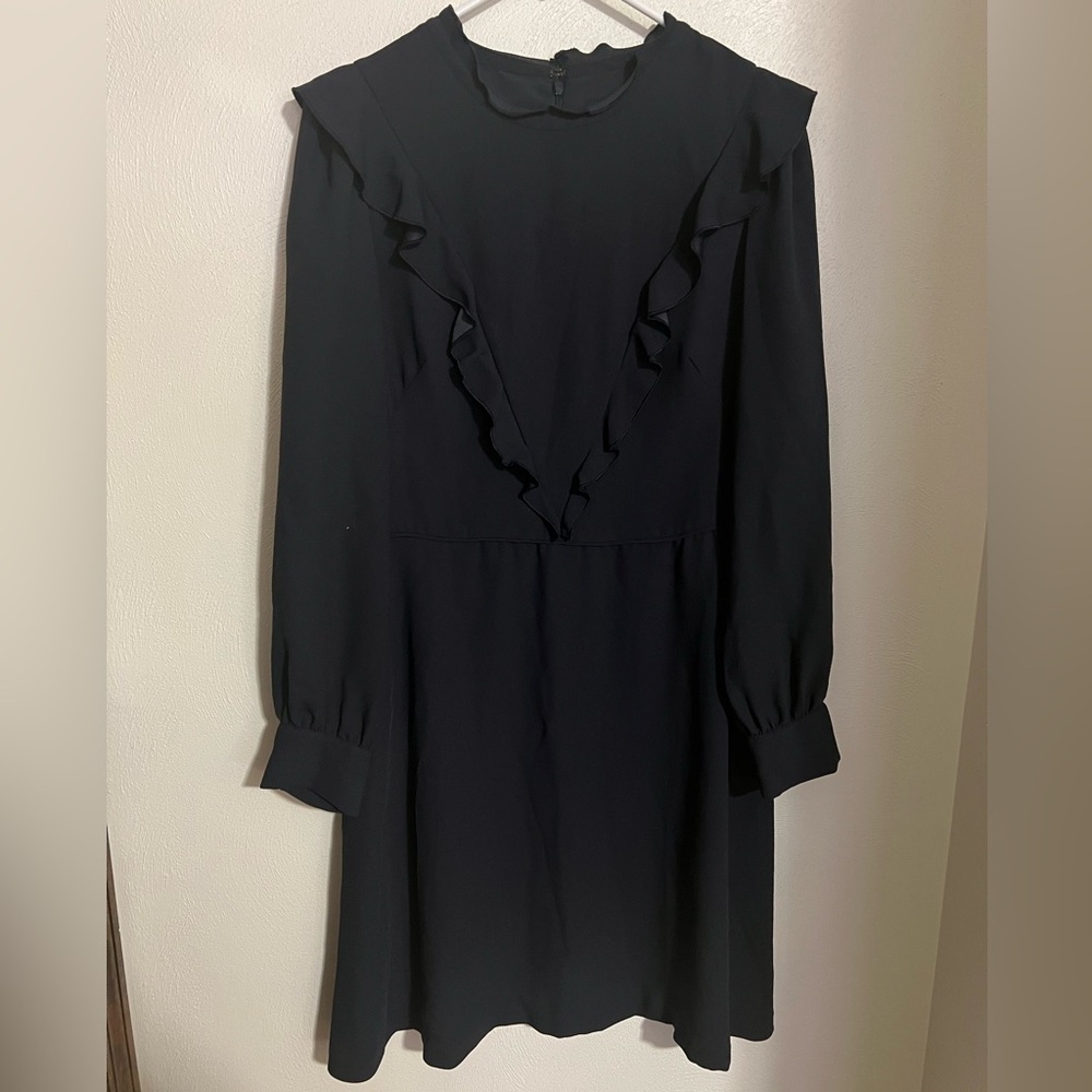 ANN TAYLOR‎ Long Sleeve Ruffle Button Cuff Dress Women's Size 10
